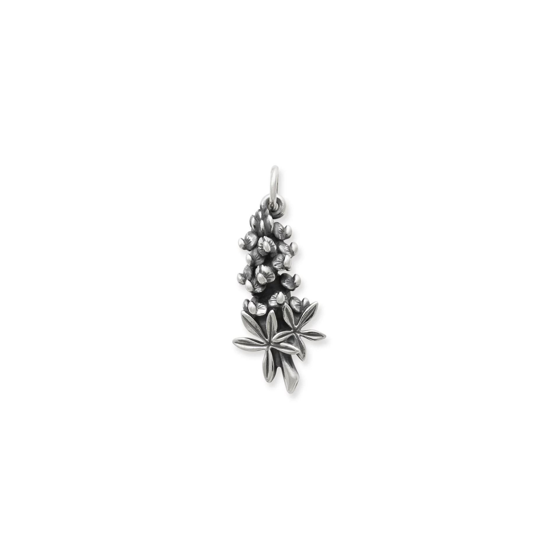 Bluebonnet Charm