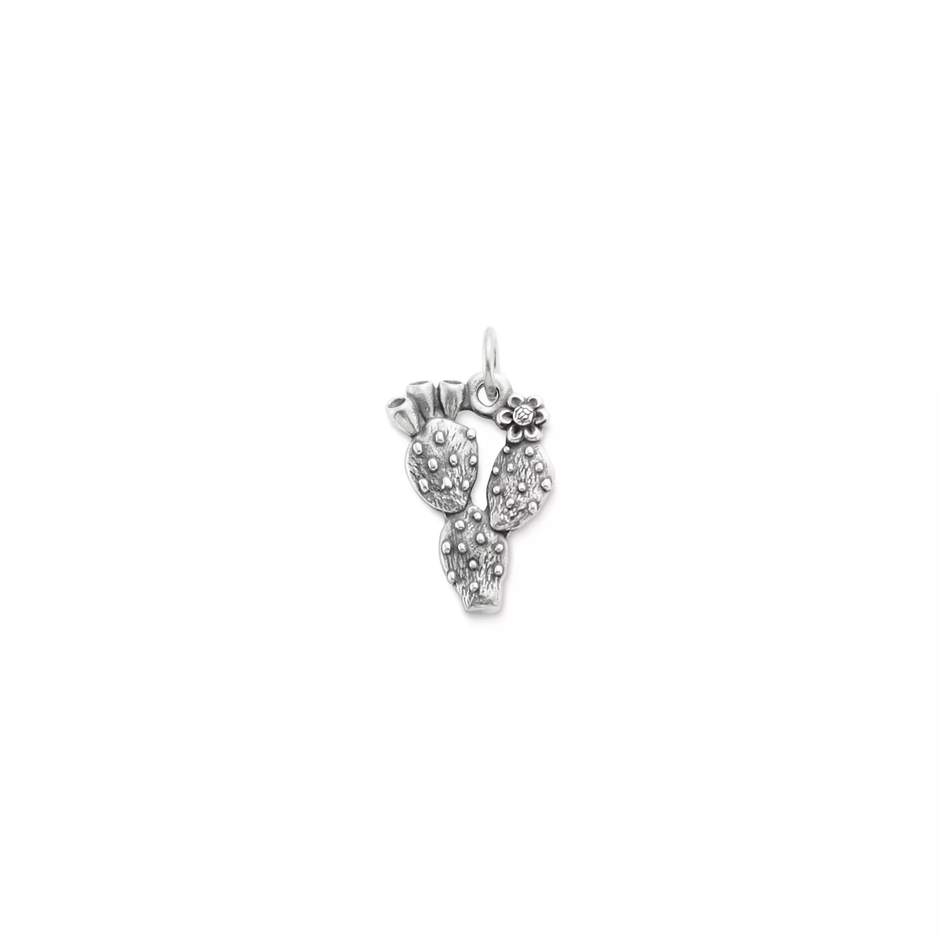 Prickly Pear Cactus Charm